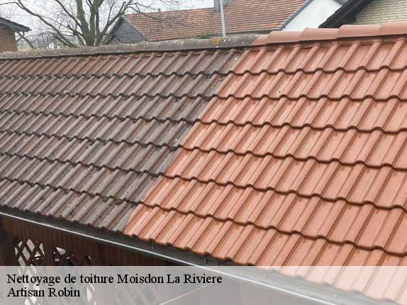 Nettoyage de toiture  moisdon-la-riviere-44520 Artisan Robin